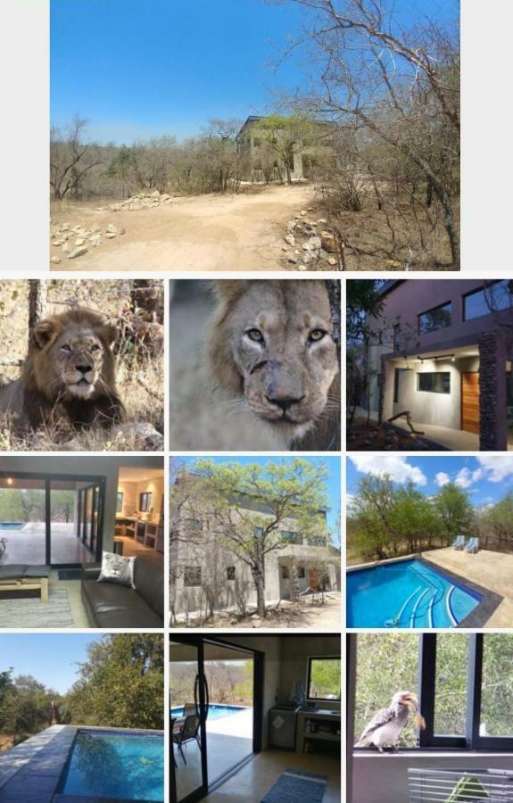 Lionsview Private Lodge - 6 Lions Marloth Park Exterior foto
